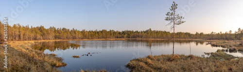 Foto Nature panorama of Finnish lake and forest.