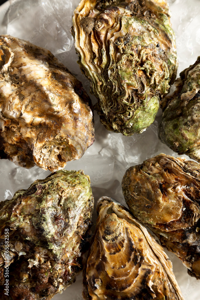 Fresh oysters on ice on a plate , top view. Flat lay, overhead, from above. Close-up. Fresh oysters on ice on a plate , top view. Flat lay, overhead, from above. Close-up.