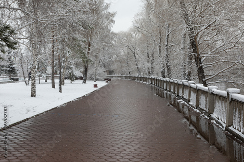 winter landscape in the alley of city park, road