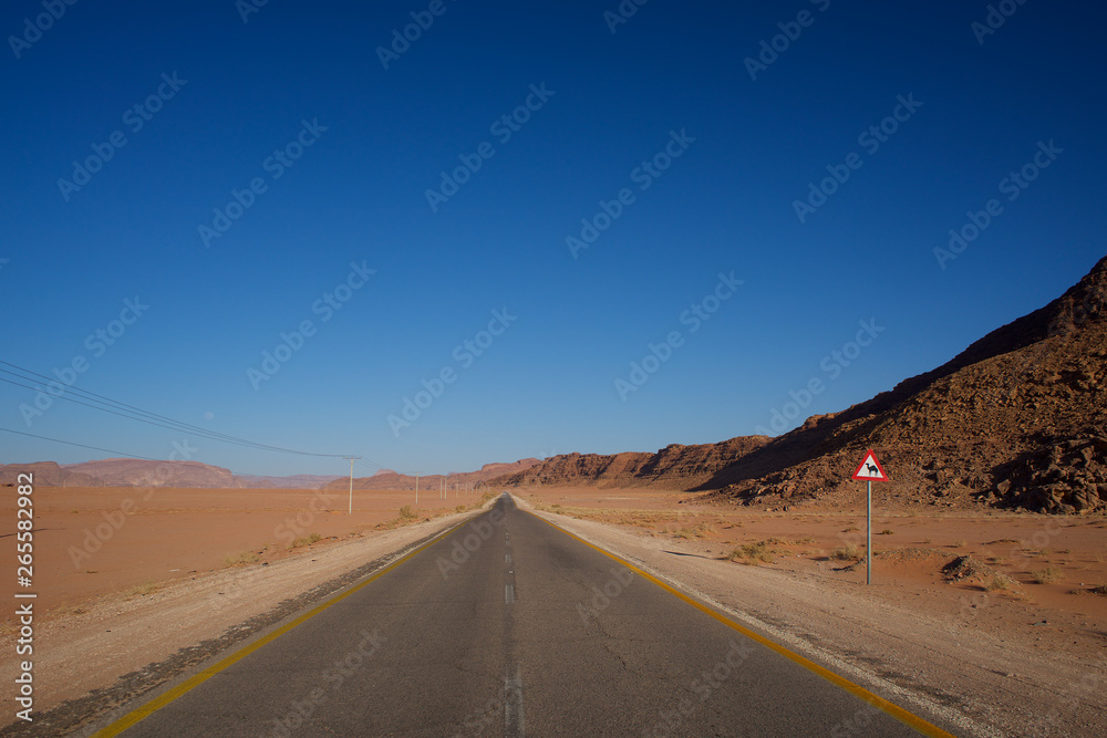 Straight Road in Desert including Camel Warning Sign