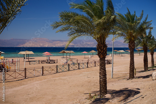 Red Sea Beach including coral reef