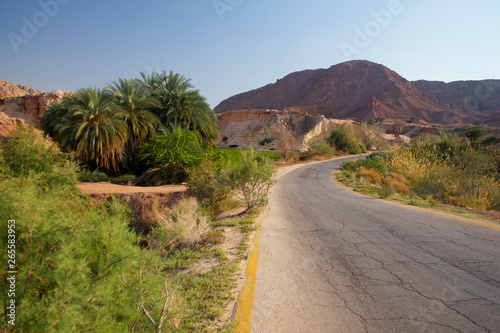 Road in Middle East Jordan Panorama