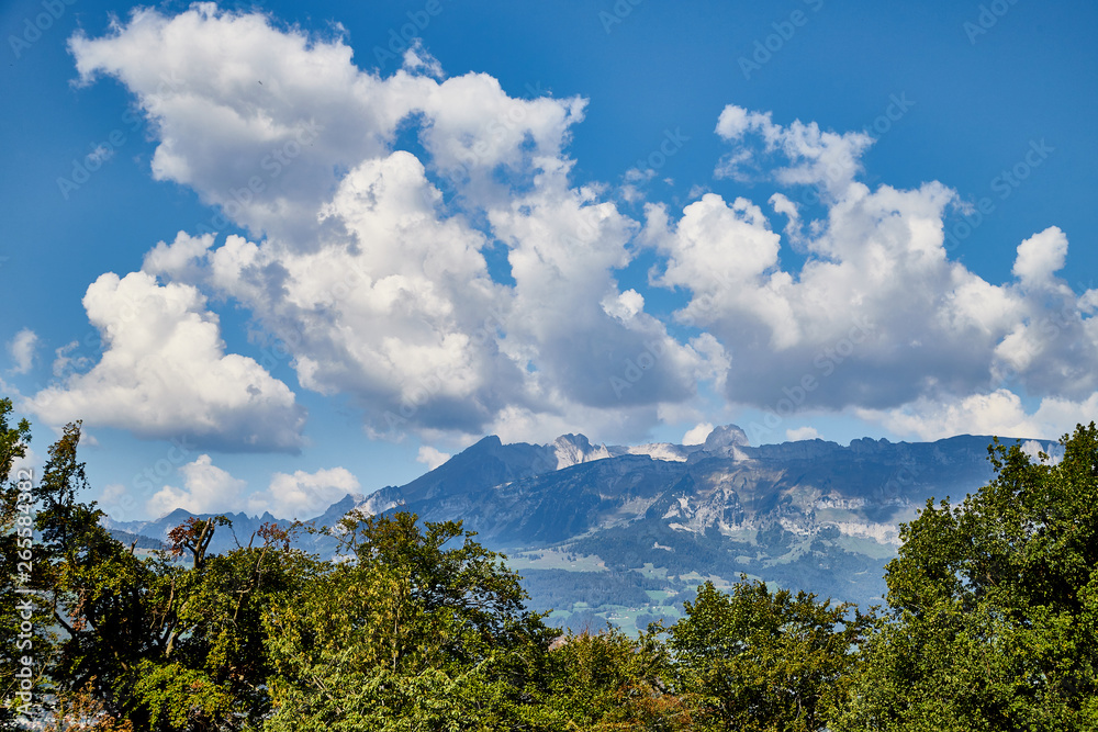 Mountains with trees and sky with clouds over them in a good summer day