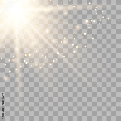 Vector transparent gold sunlight 