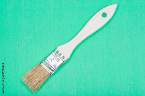 Flat Chip Painting Brush isolated on green background.