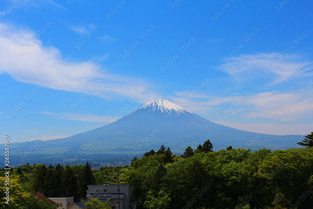 御殿場からの富士山の風景