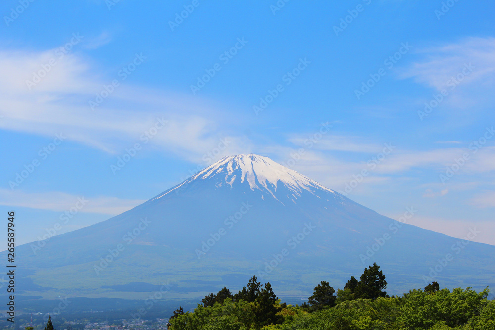Fototapeta premium 御殿場からの富士山の風景