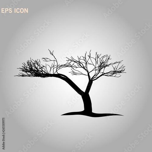 Architectonics of the crown of Norway maple. The structure of the tree branches and trunk of a rectangular shape. Vector drawing of the tree on a white background eps10