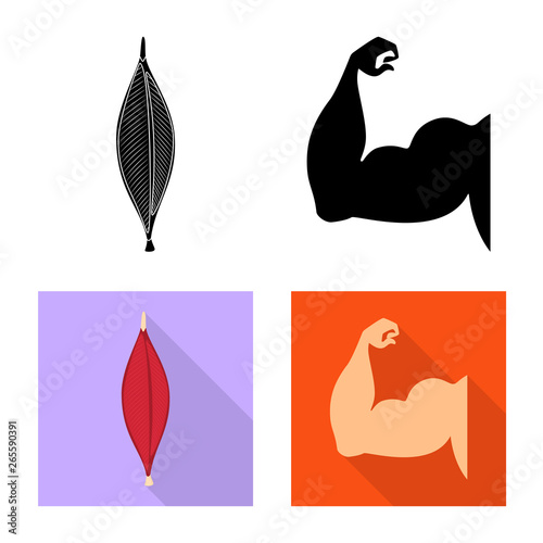 Vector design of fiber and muscular sign. Set of fiber and body  stock vector illustration.