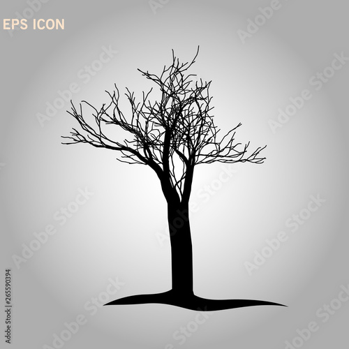 Architectonics of the crown of Norway maple. The structure of the tree branches and trunk of a rectangular shape. Vector drawing of the tree on a white background eps10