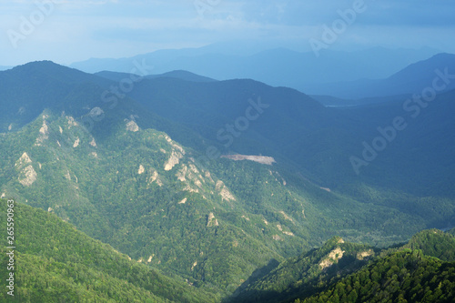 Mountain landscape and forest aerial view