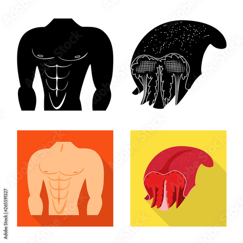 Vector illustration of fiber and muscular symbol. Set of fiber and body  stock vector illustration.