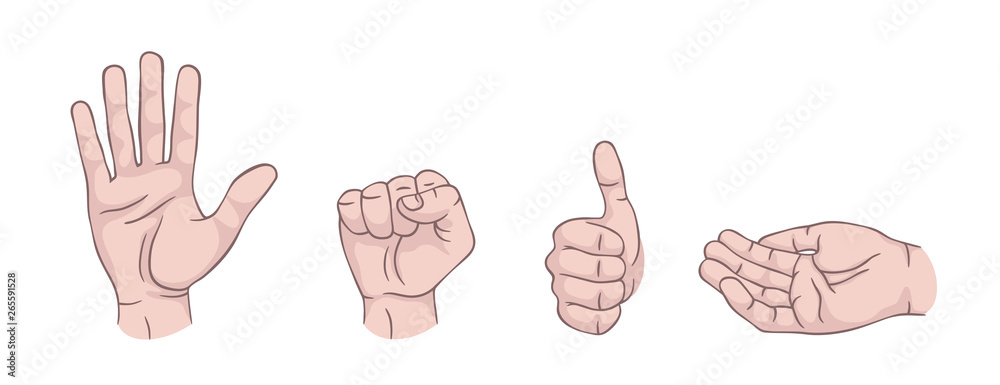 Hand gestures set isolated. Palm, fist, thumb up, cupped hand. Modern beautiful style. Realistic. Flat style vector illustration. Line signs and icons. Different positions of human hands.