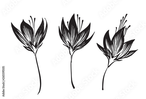 Hand drawn outline flowers sketch silhouette set. Vector black ink drawing isolated on white background. Graphic illustration