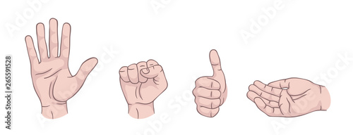 Hand gestures set isolated. Palm, fist, thumb up, cupped hand. Modern beautiful style. Realistic. Flat style vector illustration. Line signs and icons. Different positions of human hands.