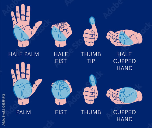 Hand gestures set isolated. Palm, fist, thumb up, cupped hand. Portions of food. Infographic. Modern beautiful style. Realistic. Flat style vector illustration. Signs and icons. Different positions.