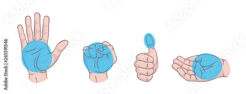 Hand gestures set isolated. Palm, fist, thumb up, cupped hand. Portions of food. Infographic. Modern beautiful style. Realistic. Flat style vector illustration. Signs and icons. Different positions.