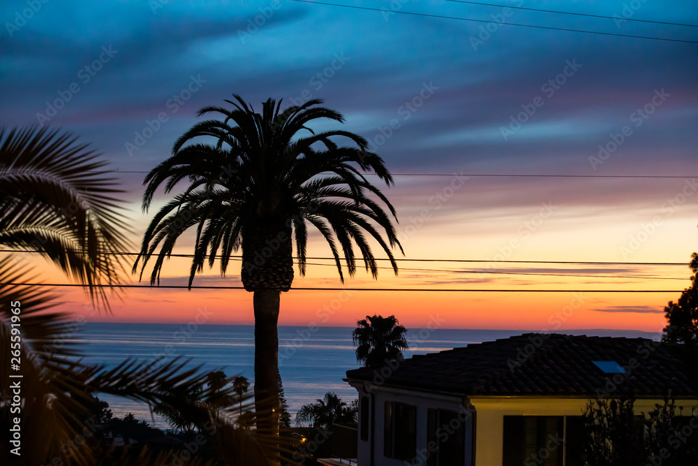 Obraz premium Colorful San Diego California Sunset with a Palm Tree Silhouette