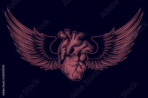 Human heart with wings.  Vector illustration in engraving technique on star rays background. Anatomically correct hand drawn line art. Tattoo, tee shirt print design.