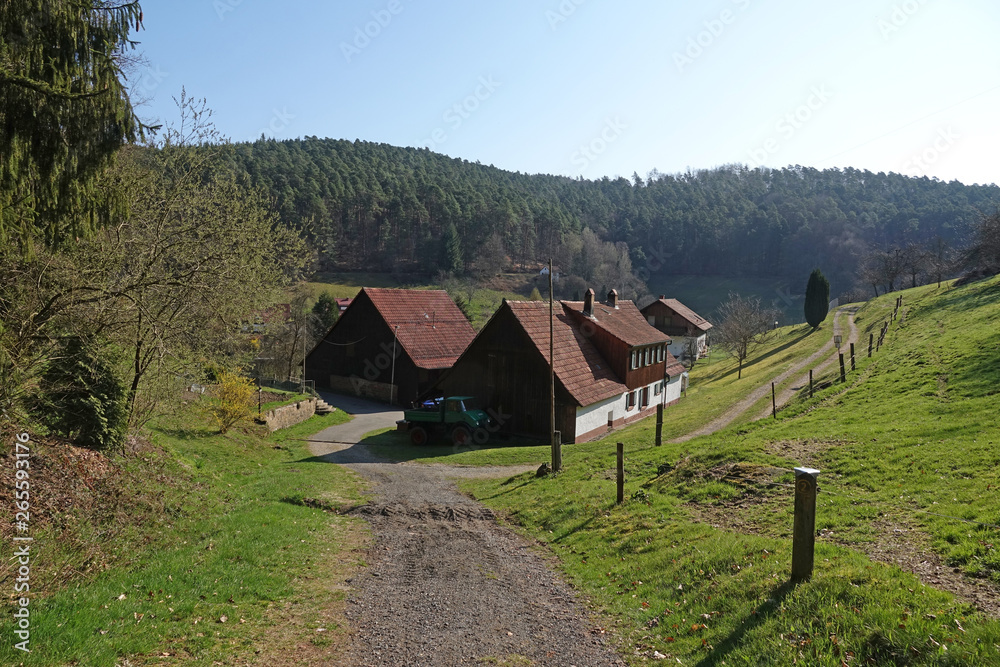 Hinterbach im Odenwald