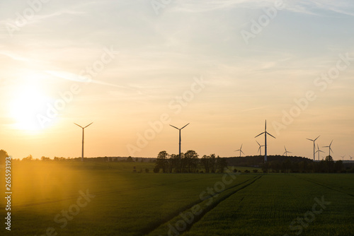 Windmills in field with low sun