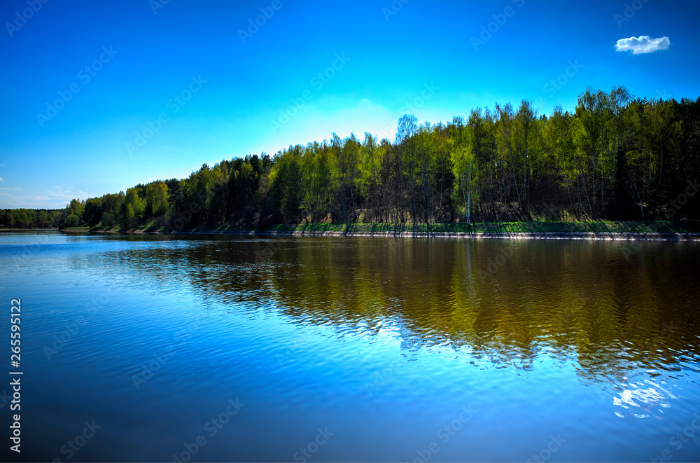 River forest horizon with dramatic reflections landscape background hd