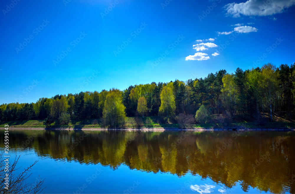 Obraz premium Diagonal spring forest at river bank landscape background hd