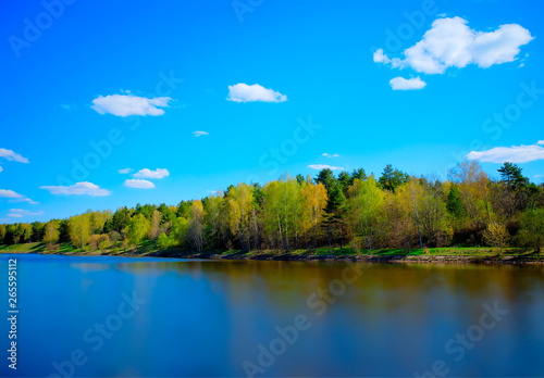 River forest with dramatic reflections landscape background hd