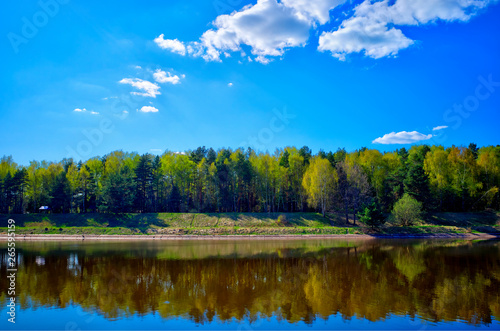 Horizontal spring forest at river bank landscape background hd