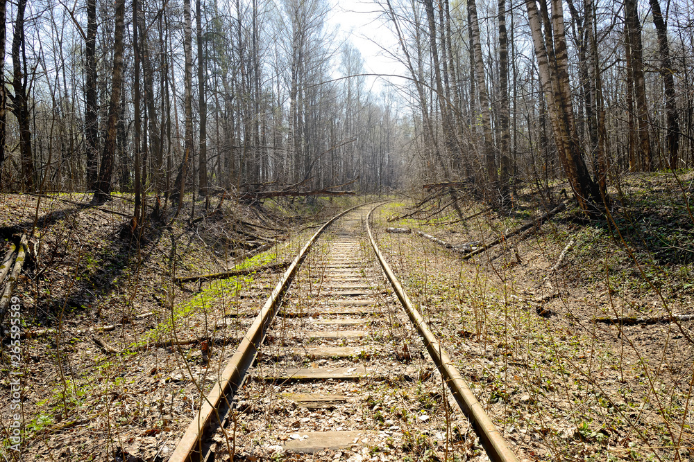 Rusty rails of the abandoned railroad in the forest