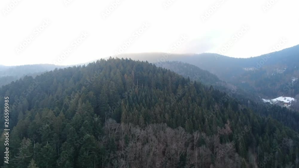 Gorgeous mountain covered in trees, amazing aerial shot in 4k Gorgeous mountain covered in trees, amazing aerial shot in 4k