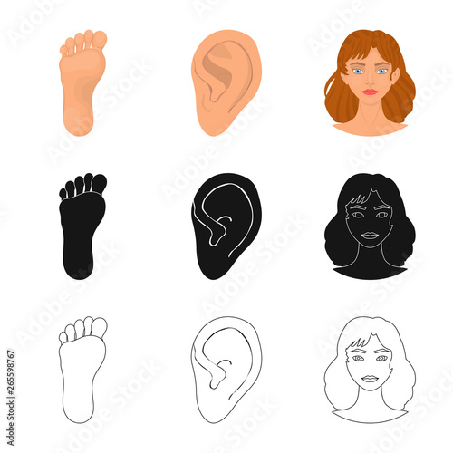 Vector illustration of body and part icon. Collection of body and anatomy stock symbol for web.