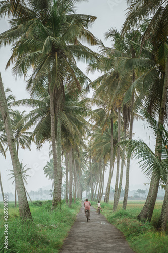father and son ride bicycle in between road with coconut tree in the morning