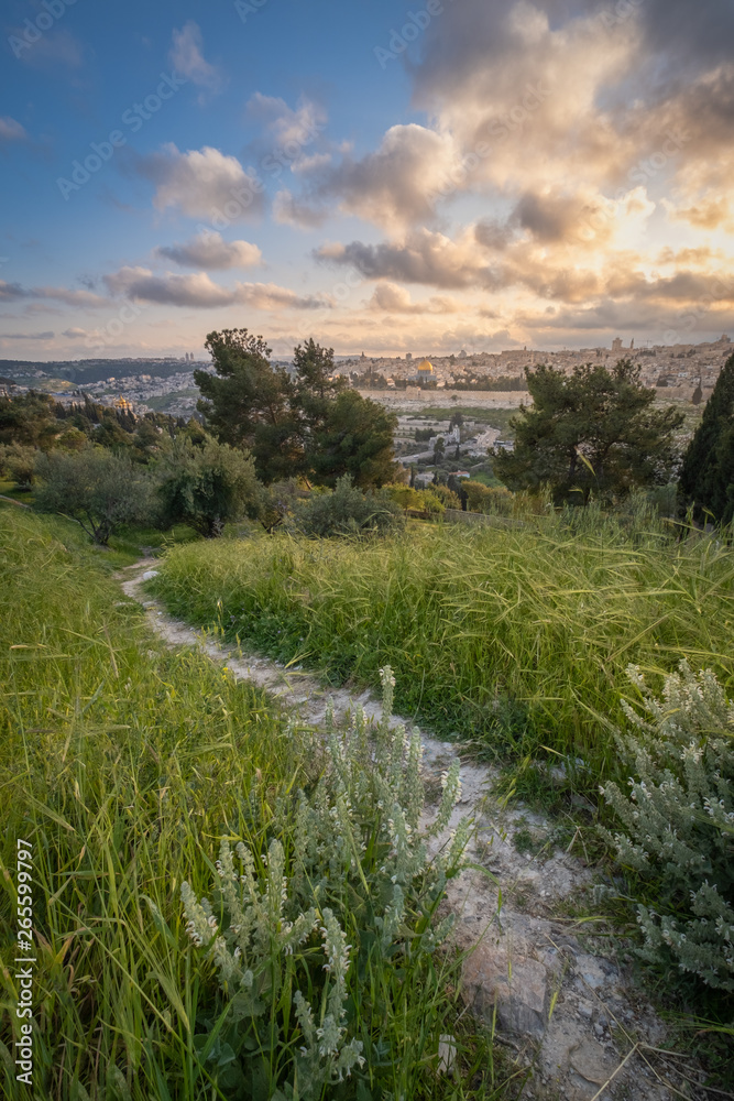 Obraz premium Path to Jerusalem