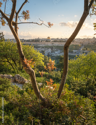 Mount of Olives