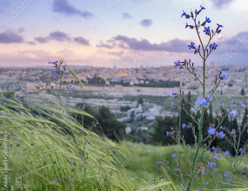Jerusalem Spring