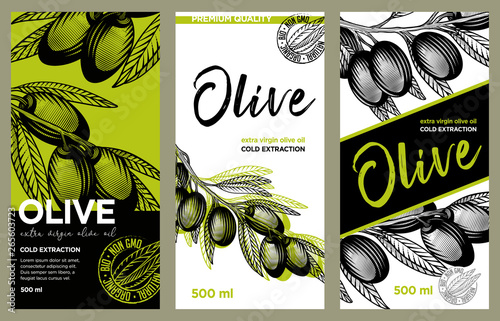 Olive oil label set. Vector hand drawn illustration of olive branches in engraving technique. Templates for olive oil packaging design. 