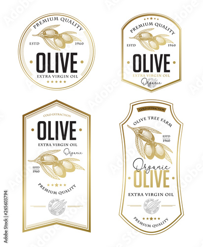 Olive oil badge label design set. Vector hand drawn illustration of olive branches in engraving technique. Vintage templates for olive oil packaging. 