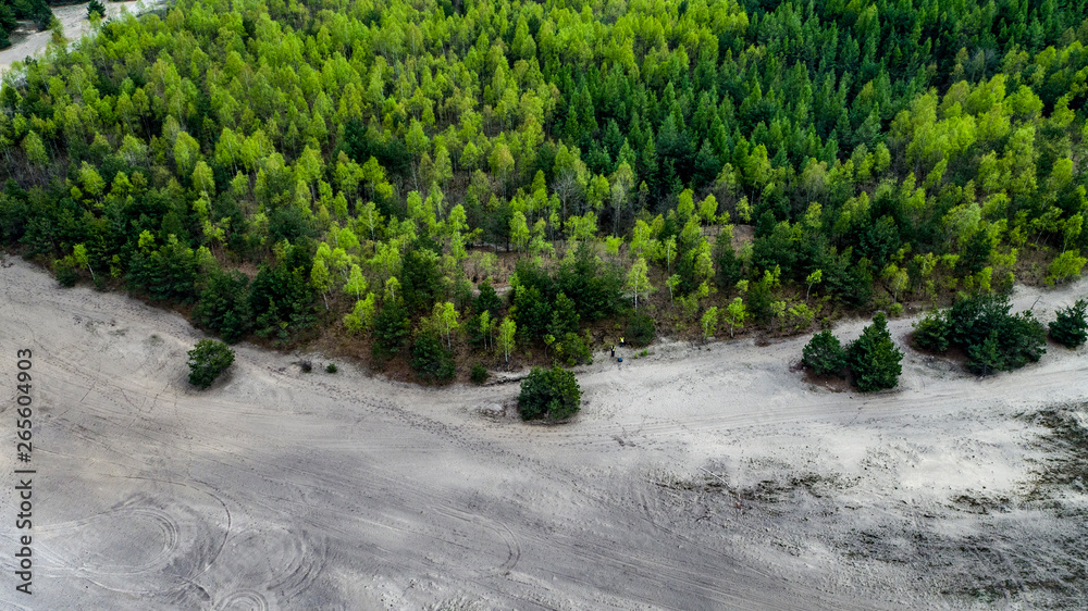 Obraz premium woods and sand