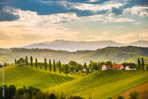 Grape hills view from wine road in Austria. South styria vineyards landscape. Sulztal