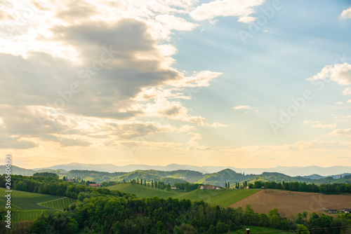 Grape hills view from wine road in Austria. South styria vineyards landscape. Sulztal