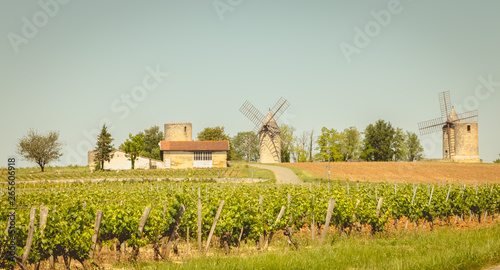 Photo old windmill behind vines near Saint Emilion in France