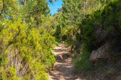 Hiking trail to the Pic du Cap Roux near Antheor