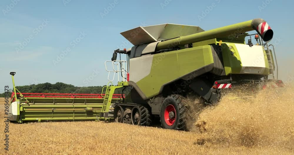 Combine Working In The Field. Take Off The Waste Of The Harvest From The Back Of The Combine During The Harvest. Prores, Slow Motion Combine Working In The Field. Take Off The Waste Of The Harvest From The Back Of The Combine During The Harvest. Prores, Slow Motion