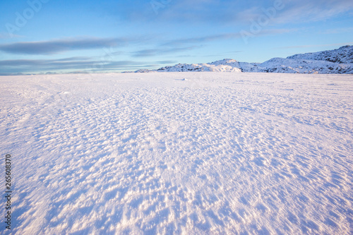 Snow desert. Kola Peninsula winter landscape