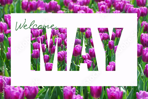 welcome May background photo