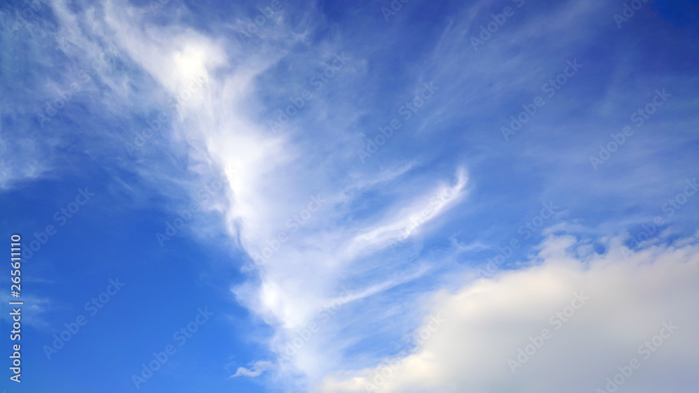 Fototapeta premium bright day or evening cloudy sky.