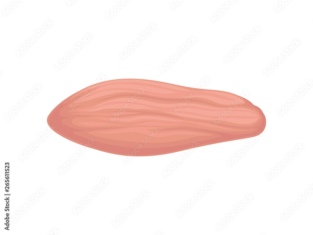 Raw chicken fillet isolated on white background. Vector illustration. Raw chicken fillet isolated on white background. Vector illustration.