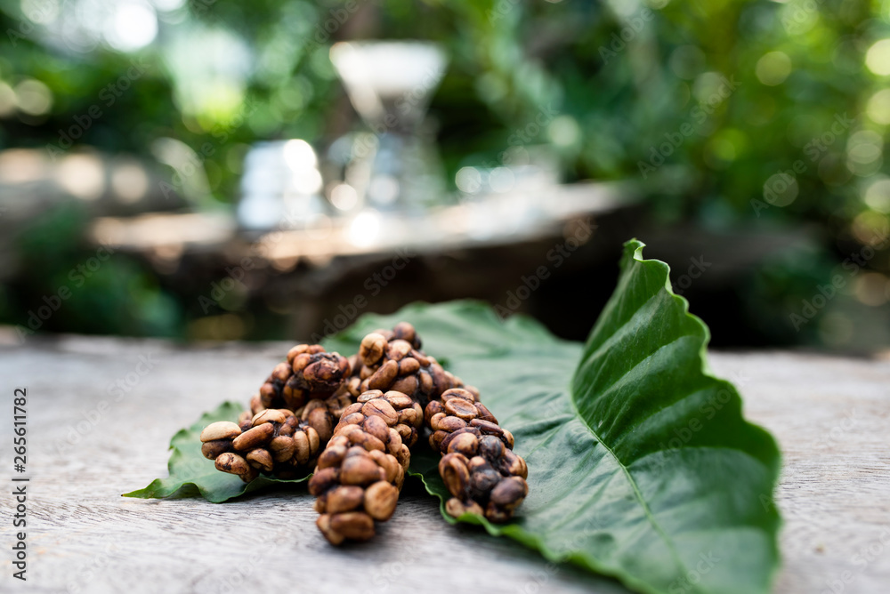 Kopi luwak or civet coffee, is one of the world's most expensive and