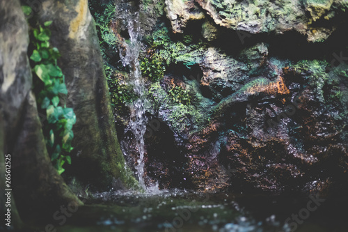 The small waterfalls in the forest have lichen on the rocky conception in nature.